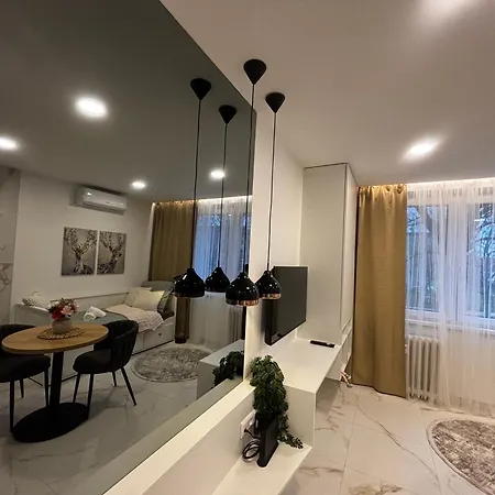 Little 公寓 皮耶什佳尼